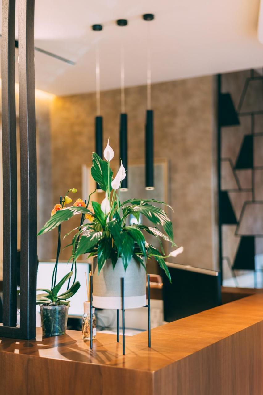 Hotel Stela Center Tirana